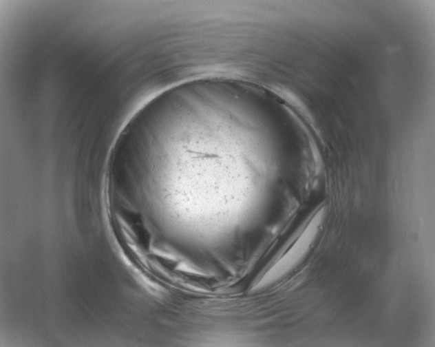 X0000061121391200512022140