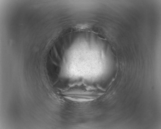 X0000061121393200512022140