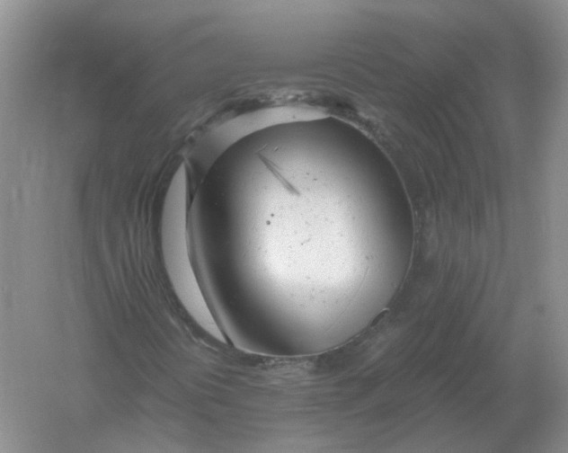 X0000061121394200512022140