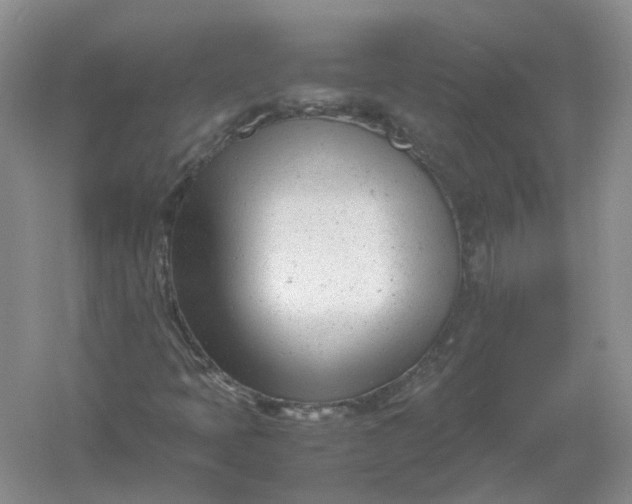 X0000061121397200512022140