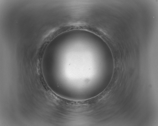 X0000061121398200512022140