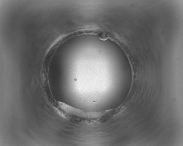 X0000061121400200512022140