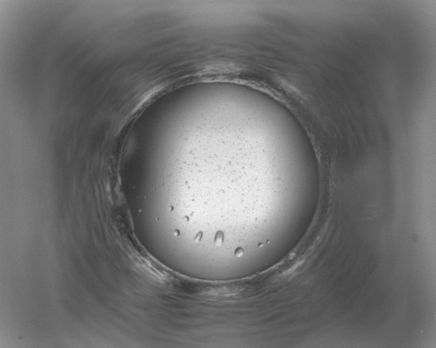 X0000061121401200512022140