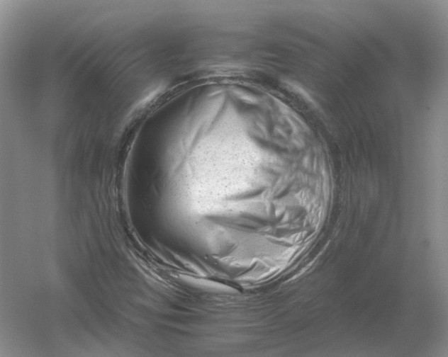 X0000061121403200512022140