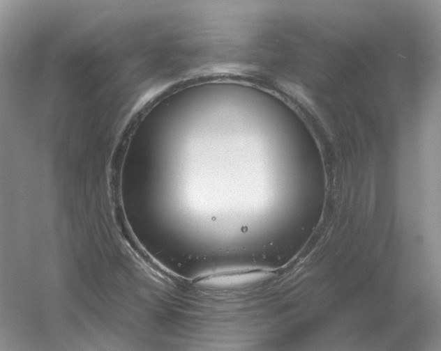 X0000061121404200512022140