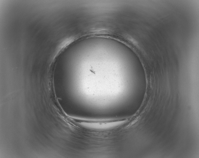 X0000061121405200512022140