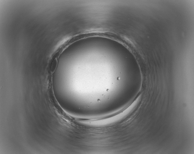 X0000061121406200512022140