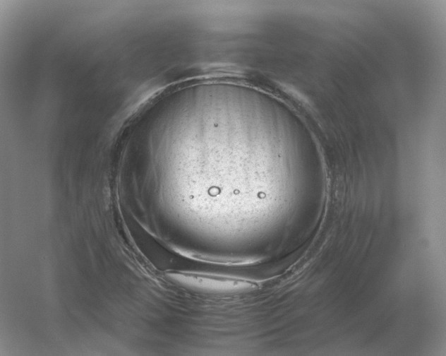 X0000061121407200512022140