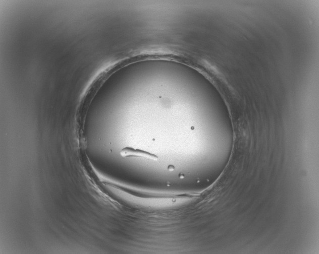 X0000061121408200512022140