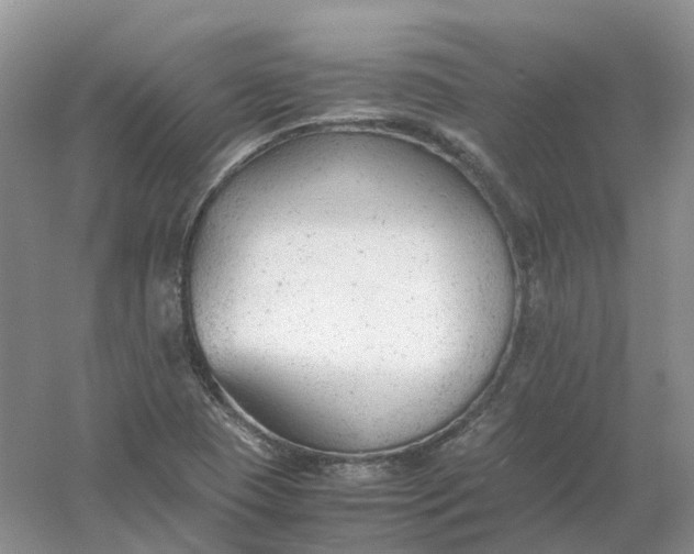 X0000061121409200512022140