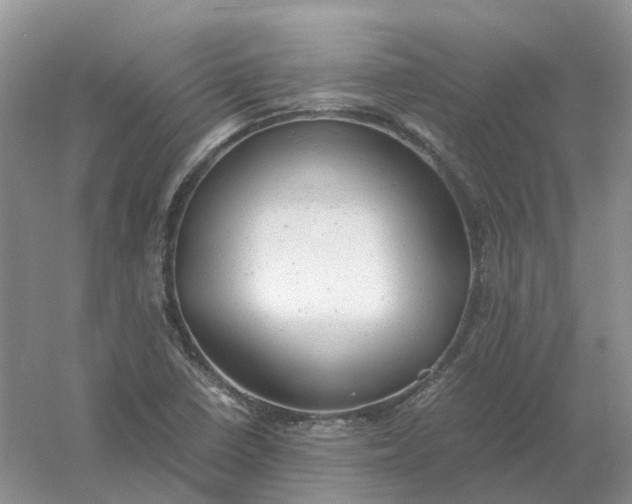 X0000061121410200512022140