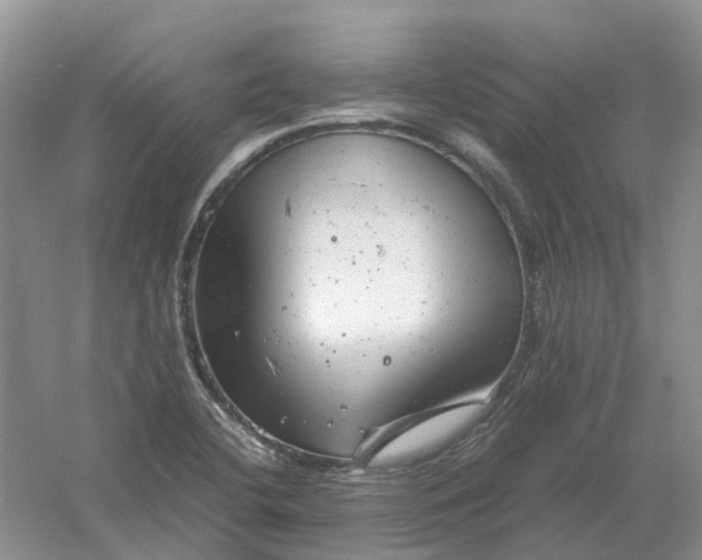 X0000061121412200512022140