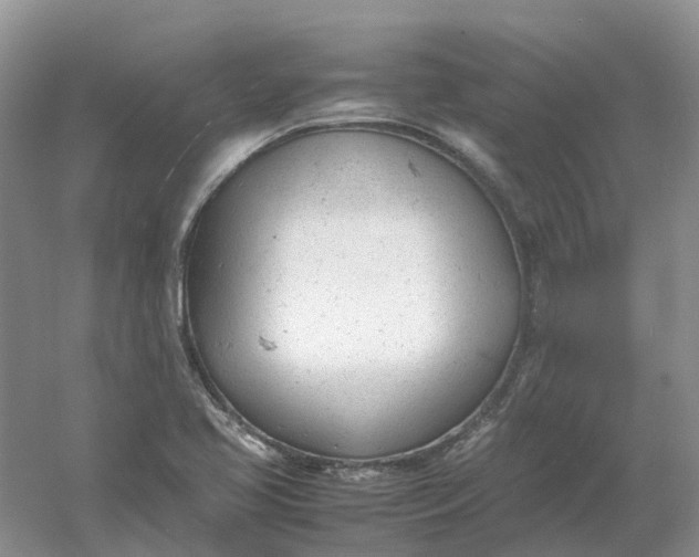 X0000061121413200512022140