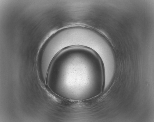 X0000061121414200512022140