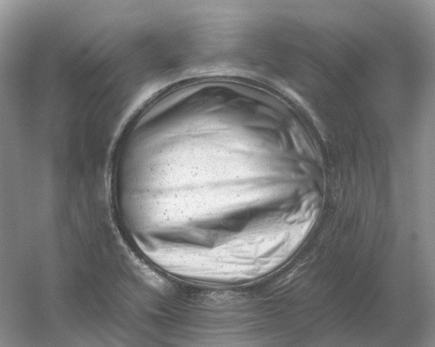 X0000061121416200512022140