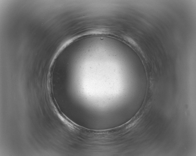 X0000061121421200512022140