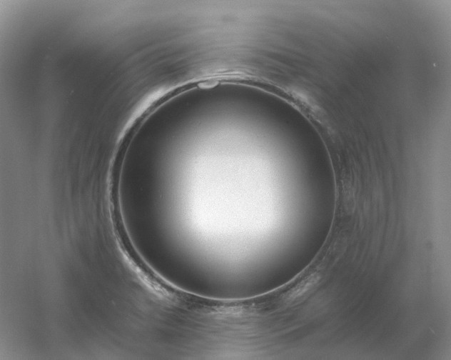 X0000061121422200512022140