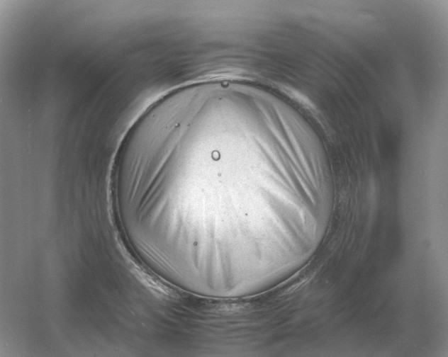 X0000061121423200512022140