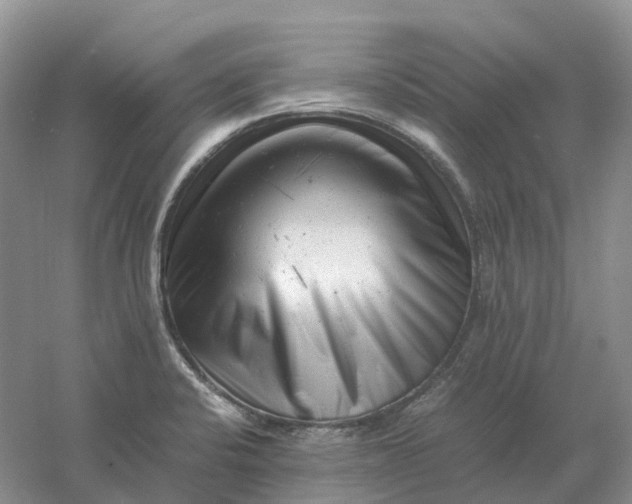 X0000061121424200512022140