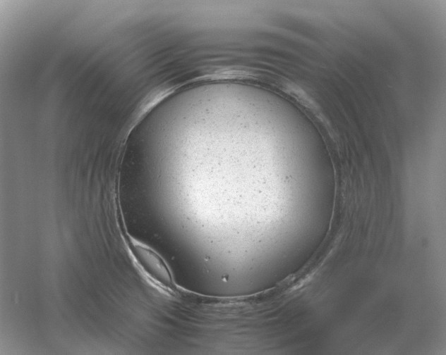 X0000061121425200512022140