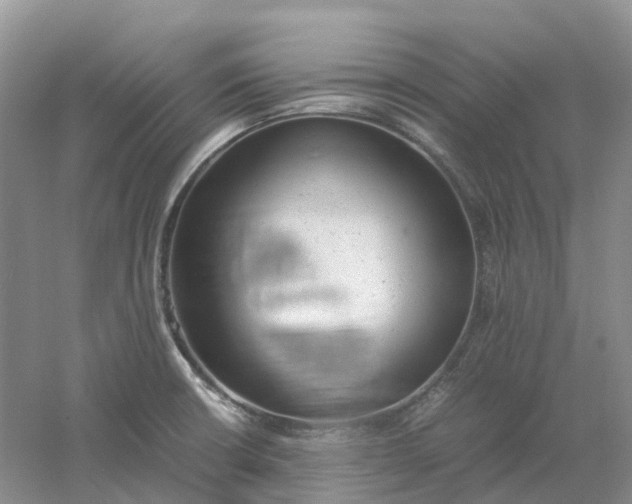 X0000061121426200512022140