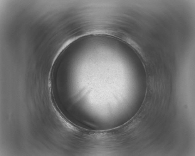 X0000061121428200512022140