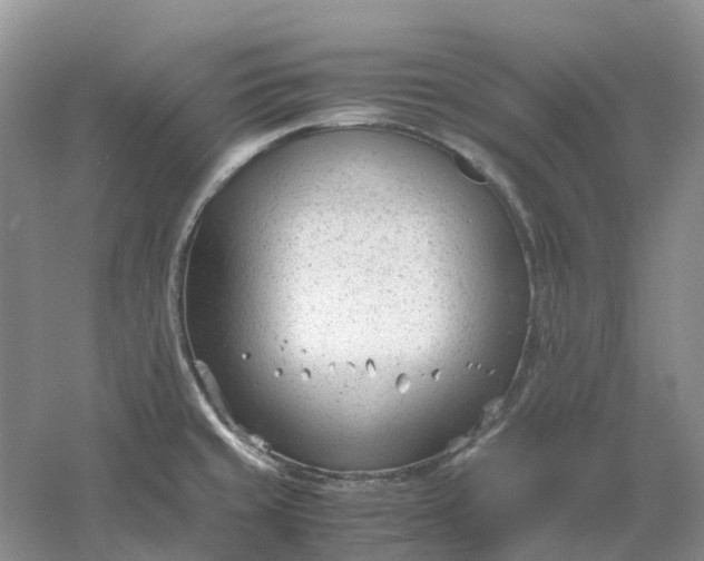 X0000061121429200512022140