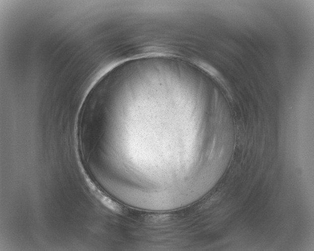 X0000061121431200512022140