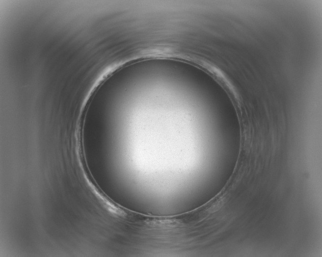 X0000061121432200512022140