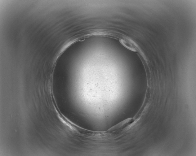 X0000061121433200512022140