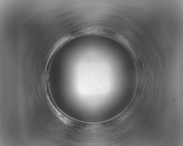 X0000061121434200512022140