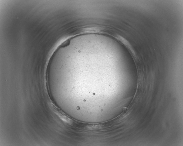 X0000061121435200512022140