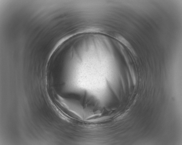 X0000061121436200512022140