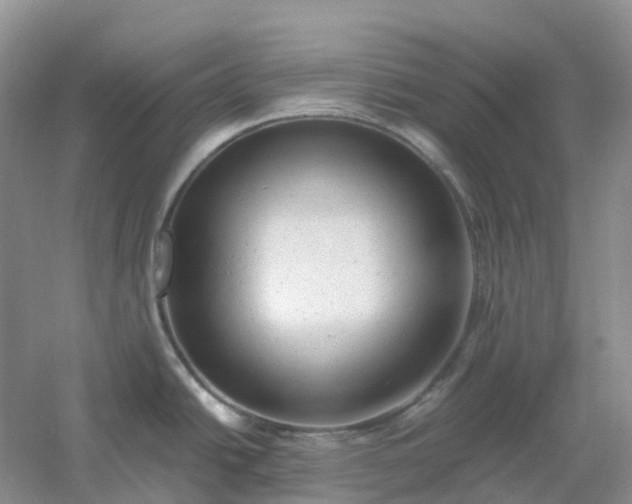 X0000061121438200512022140