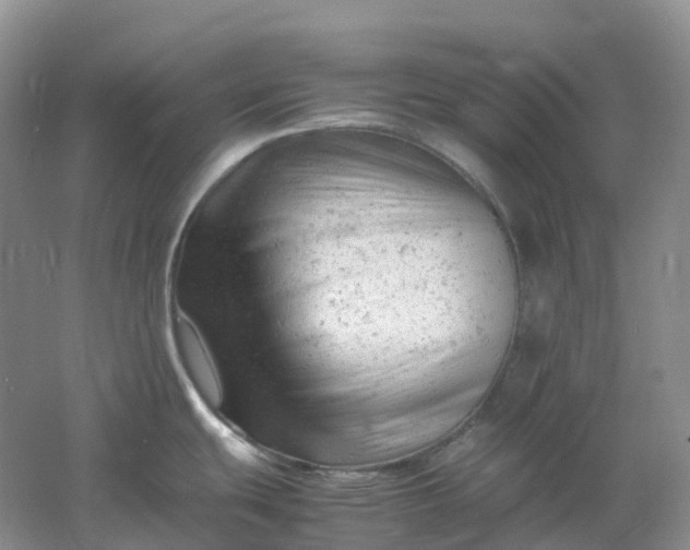 X0000061121439200512022140