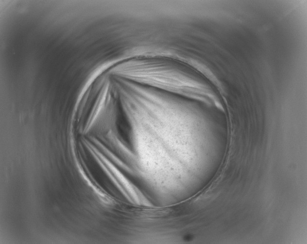 X0000061121440200512022140