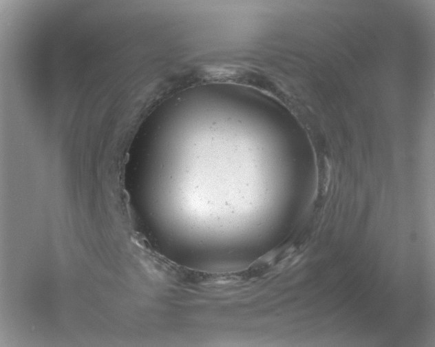 X0000061121441200512022140