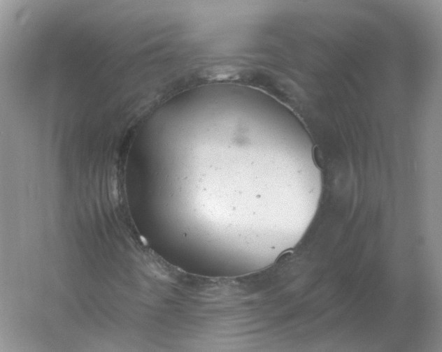 X0000061121442200512022140