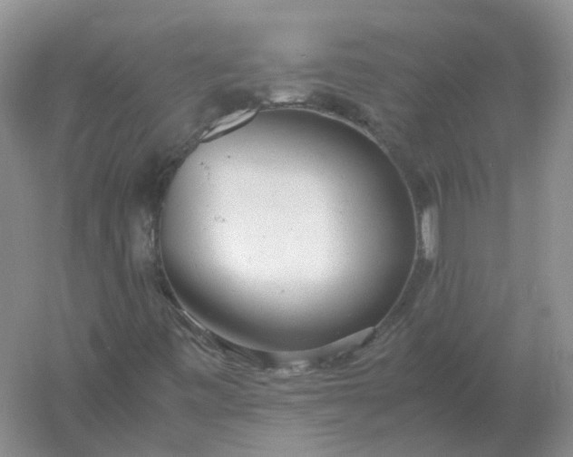 X0000061121443200512022140