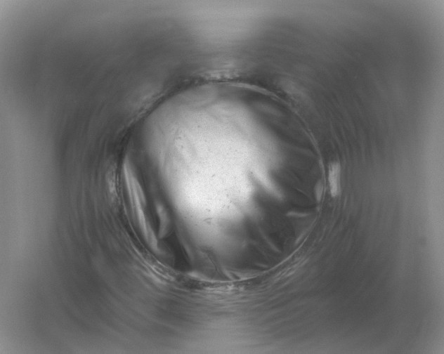 X0000061121444200512022139