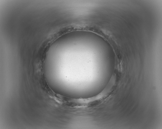 X0000061121445200512022139