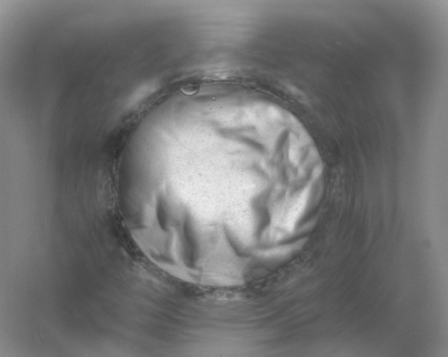 X0000061121446200512022139