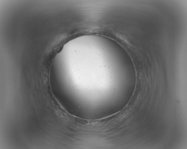 X0000061121447200512022139