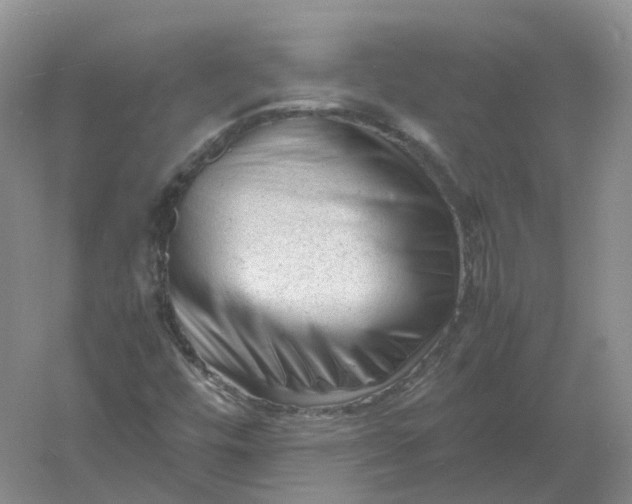 X0000061121448200512022139