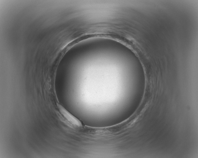 X0000061121449200512022139