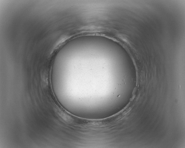 X0000061121451200512022139