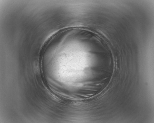 X0000061121452200512022139