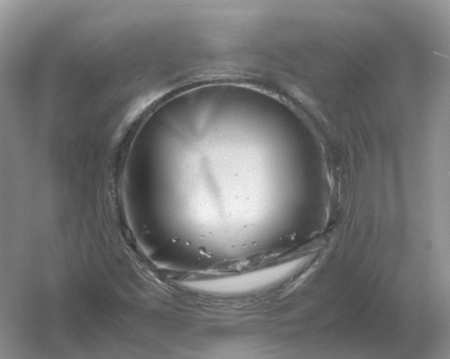 X0000061121453200512022139