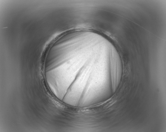 X0000061121454200512022139