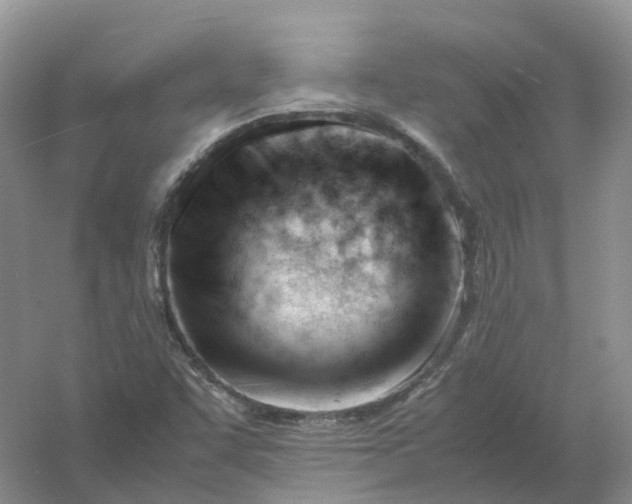 X0000061121455200512022139